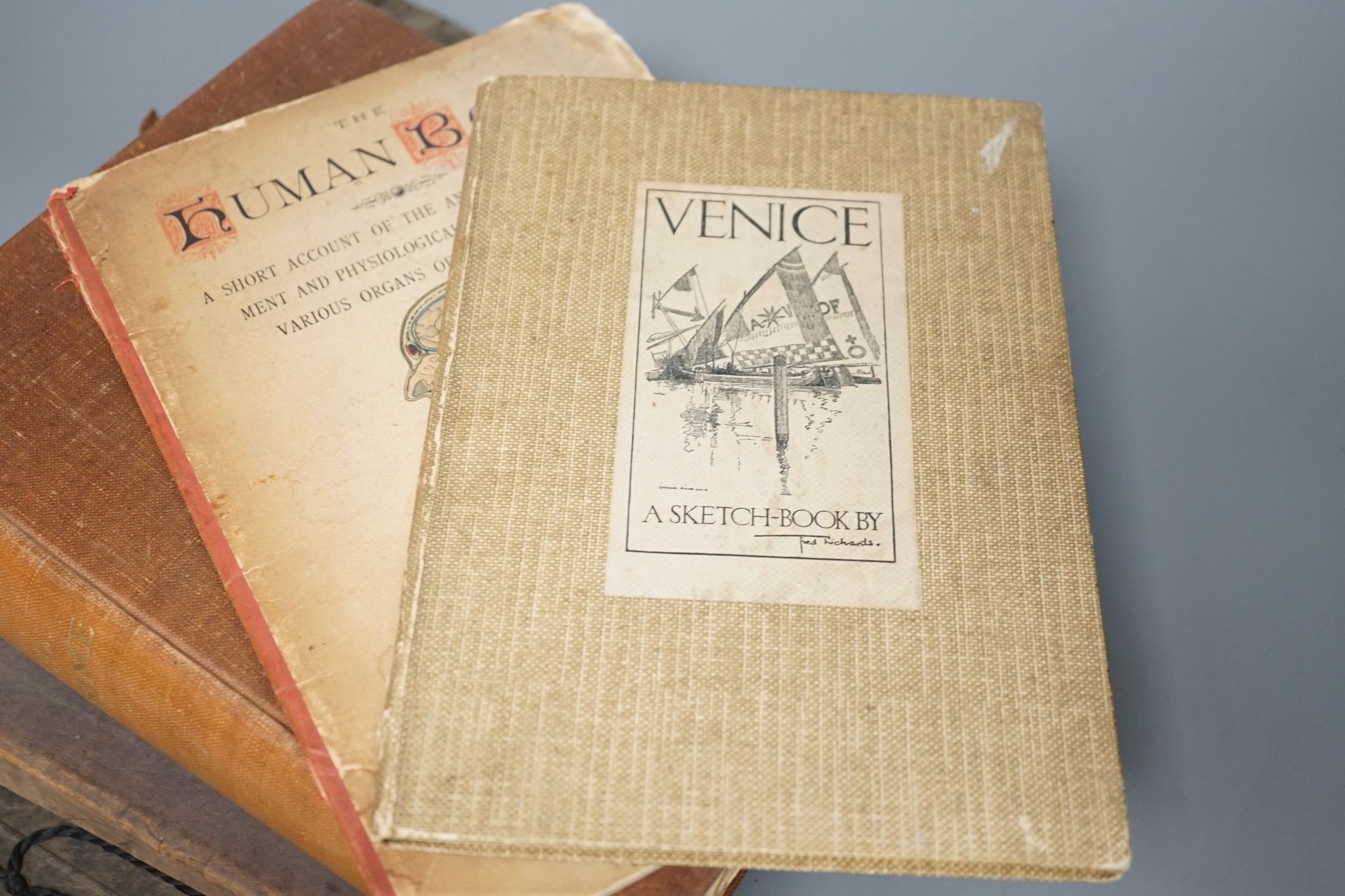 A coloured Mannikin Human Bodybook, Seven Pillars of Wisdom, Omarkhayam, 1930's International Horse & Hound Show and Venice, A Sketch Book by Fred Richards (5)